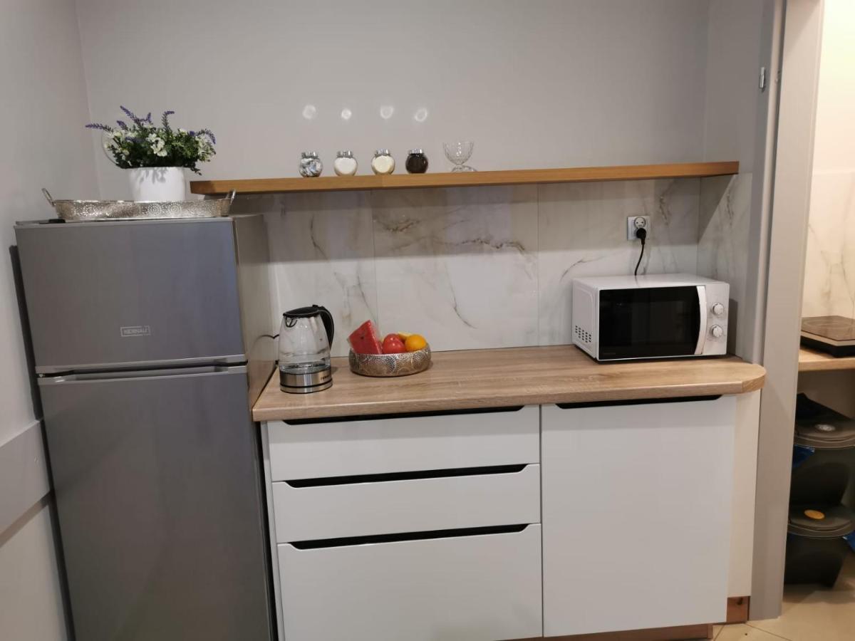 Apartamenty U Maksa Przemyśl Dış mekan fotoğraf